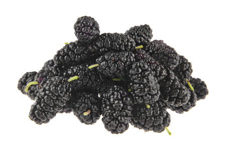 Mulberries isolated on whiteの写真素材