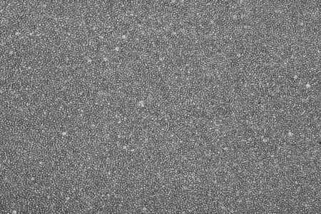 gray foam texture as backgroundの写真素材