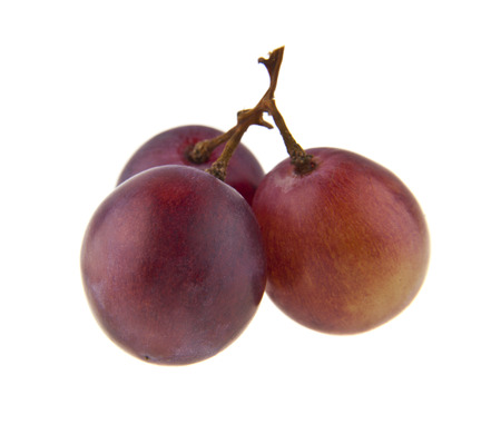 grapes on branch isolated on white backgroundの写真素材