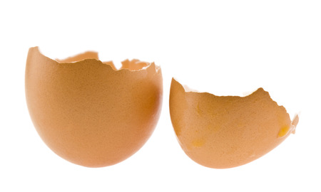 broken chicken egg isolated on white background close up