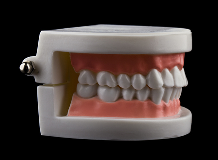 teeth isolated on black backgroundの写真素材