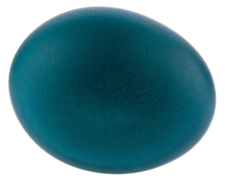 Blue chicken egg isolated on white background close up.の写真素材