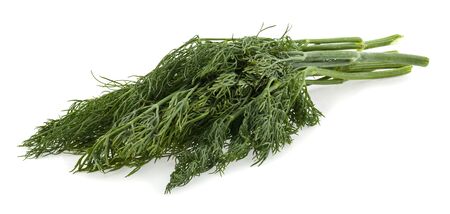Green dill isolated on white backgroundの写真素材