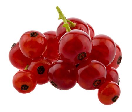 Red juicy currants isolated on a white background. Vegetarian food.の写真素材