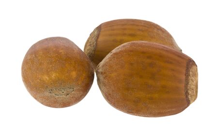 Hazelnuts nuts Isolated on a white background.の写真素材