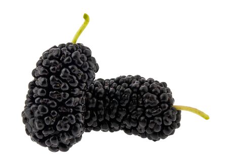 Juicy ripe mulberries isolated on a white background. Vegetarian food.の写真素材