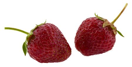 Juicy red strawberries isolated on a white background.の写真素材
