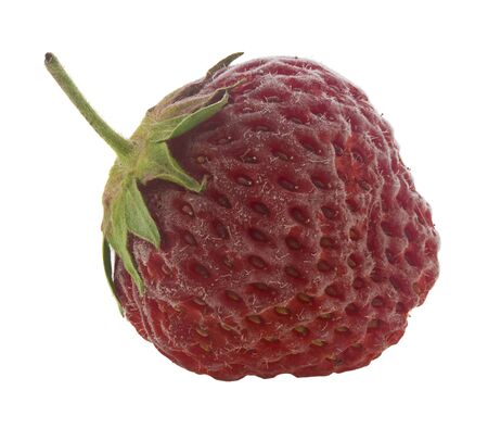 Frozen red strawberries isolated on white background.の写真素材