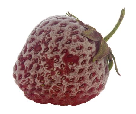 Frozen ripe juicy red strawberries Isolated on a white background. Healthy vegetarian food.の写真素材