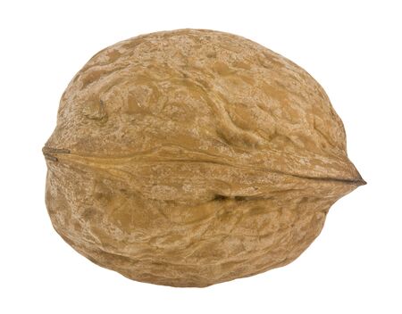 Walnut isolated on a white background.の写真素材