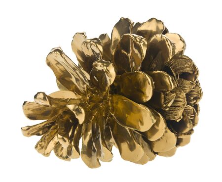 Golden pine cone isolated on white background close-up.の写真素材