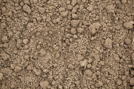 Soil texture as background. The concept of agriculture, horticulture and ecology.の写真素材