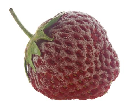 Frozen red strawberries isolated on white backgroundの写真素材