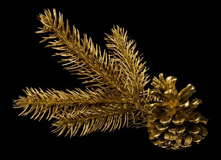 Golden Christmas tree branch and golden pine cone isolated on black background close-up.の写真素材