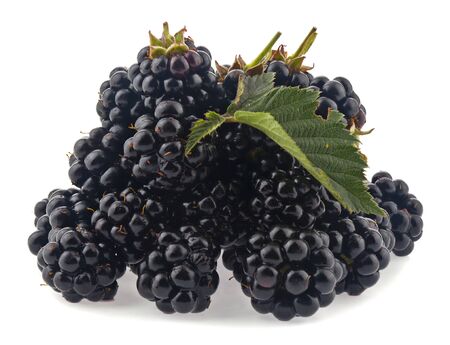 A pile of blackberry berries isolated on a white background close-up.の写真素材