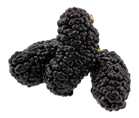 Mulberry berries isolated on a white background close-up.の写真素材