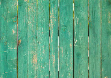 Green wooden fence texture. Background with copy space and visible texture of green wooden fence. Texture of green wooden fence. The perfect background with space for banners, business cards and illustrations.の写真素材