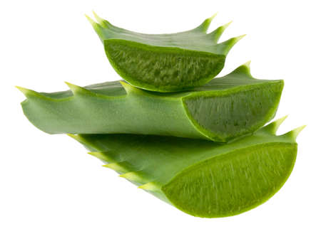 Aloe isolated on white background close-up.の写真素材