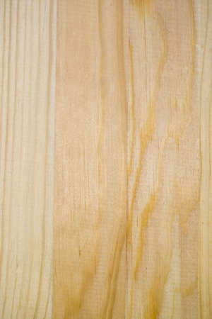Wood texture background surface with natural pattern.の写真素材