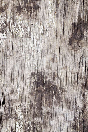 Wood texture background surface with old natural patternの写真素材