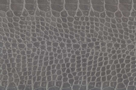 Gray crocodile skin texture as a background. Scale texture.の写真素材