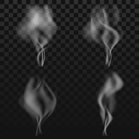 Set of transparent smoke on dark backgroundのイラスト素材