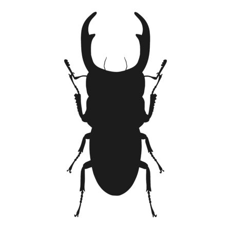 Silhouette of bug isolated on white background. Vector illustrationのイラスト素材
