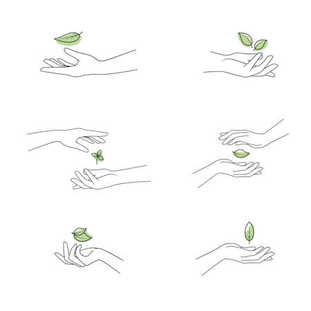 Collection of hands hold a leaf of the plant. Vector illustration isolated on white background.のイラスト素材