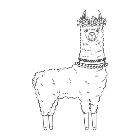 Cute llama with a wreath of flowers on his head. Portrait of a cute animal - coloring book page. Vector illustration isolated on white backgroundのイラスト素材