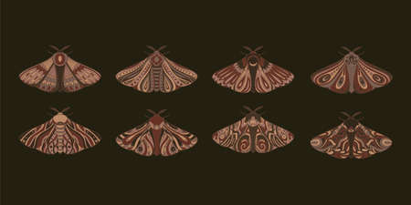 Collection of decorative fantastic moth. Wings covered with ornaments. Vector illustration isolated on dark backgroundのイラスト素材
