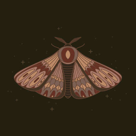 Decorative fantastic moth. Wings covered with ornaments. Vector illustration isolated on dark background with sparklesのイラスト素材