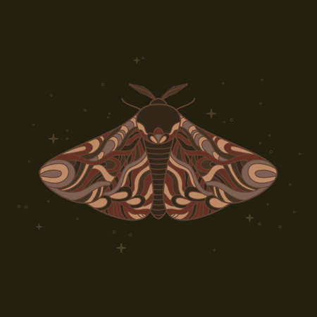 Decorative fantastic moth. Wings covered with ornaments. Vector illustration isolated on dark background with sparklesのイラスト素材