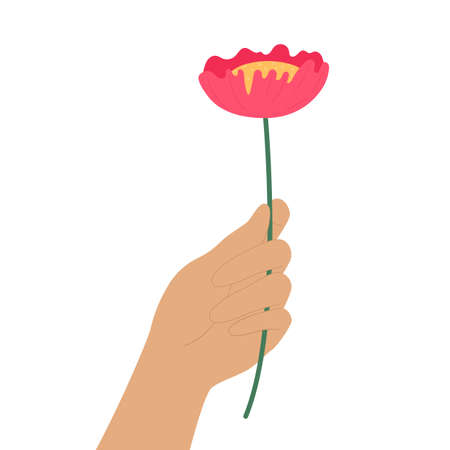 Hand holds a flower. Flat vector illustration isolated on white backgroundのイラスト素材