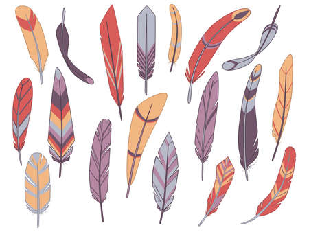 Collection of bright abstract feathers. Cartoon vector illustration isolated on white backgroundのイラスト素材