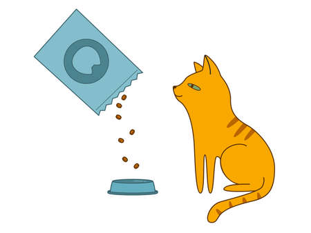 A funny ginger cat sits next to an empty bowl and watches how food is poured into it. Vector cartoon illustration isolated on white backgroundのイラスト素材