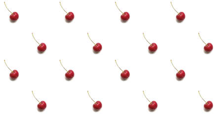 Fresh wet sweet cherry on white backgroundの写真素材