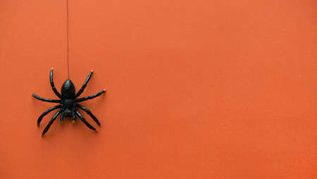 The black spider descends and ascends on a rope. Orange background for Halloween with place for textの写真素材