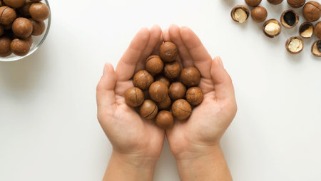 A handful of macadamia nuts in the palms. Female hands show closed nuts on a white background top viewの写真素材