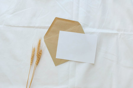 Postal envelope and a blank sheet on a white sheet. Wheat ears and a letter with space for text