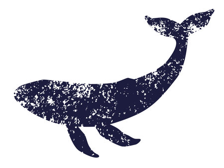Whale textured silhouette. Vector illustration isolated on white backgroundのイラスト素材