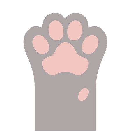 Cat soft gray paw. Vector illustration isolated on a white backgroundのイラスト素材