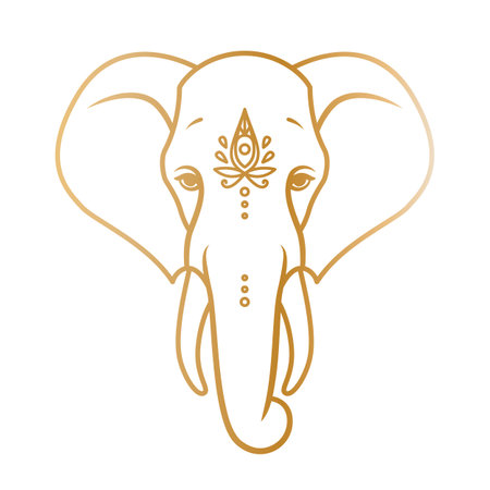 Golden elephant head in outline style. Vector illustration isolated on a white backgroundのイラスト素材