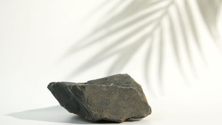 Gray stone pedestal scene with a gray stone and palm leaf shadow on white background. Advertising and presentation for natural productsの写真素材