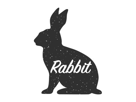 Silhouette of a rabbit with a text, side view. Vector illustration isolated on white backgroundのイラスト素材