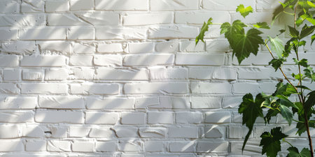 White brick wall with plants and sunlight with a place for text. AI generativeの素材