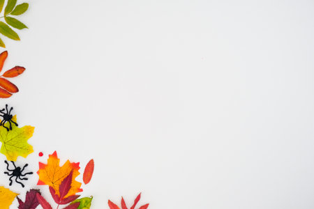Horizontal autumn banner with a fallen colorful leaves and black spiders on white background with...