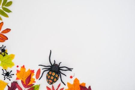 Horizontal autumn banner with a fallen colorful leaves and black spiders on white background with...