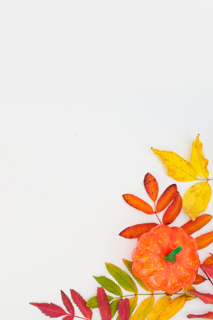 Vertical autumn banner with a fallen colorful leaves and orange pumpkin on white background with...