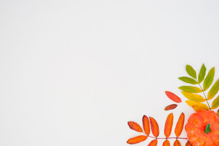 Horizontal autumn banner with a fallen colorful leaves and orange pumpkin on white background with...