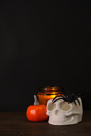 Halloween composition with a skull, candle, pumpkin, spider and place for text on dark backgroundの写真素材